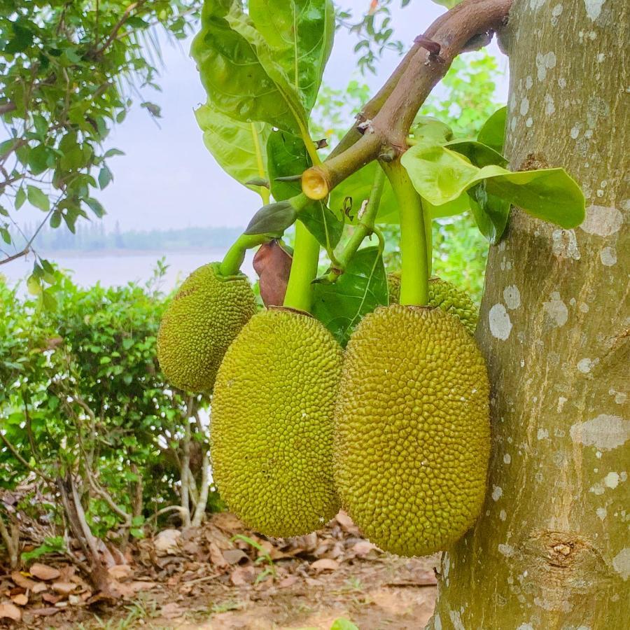 Ben Tre Riverside Resort Zewnętrze zdjęcie